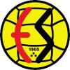 埃斯基谢希尔体育logo