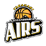 塔拉纳基空气logo