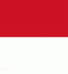 印尼女篮logo